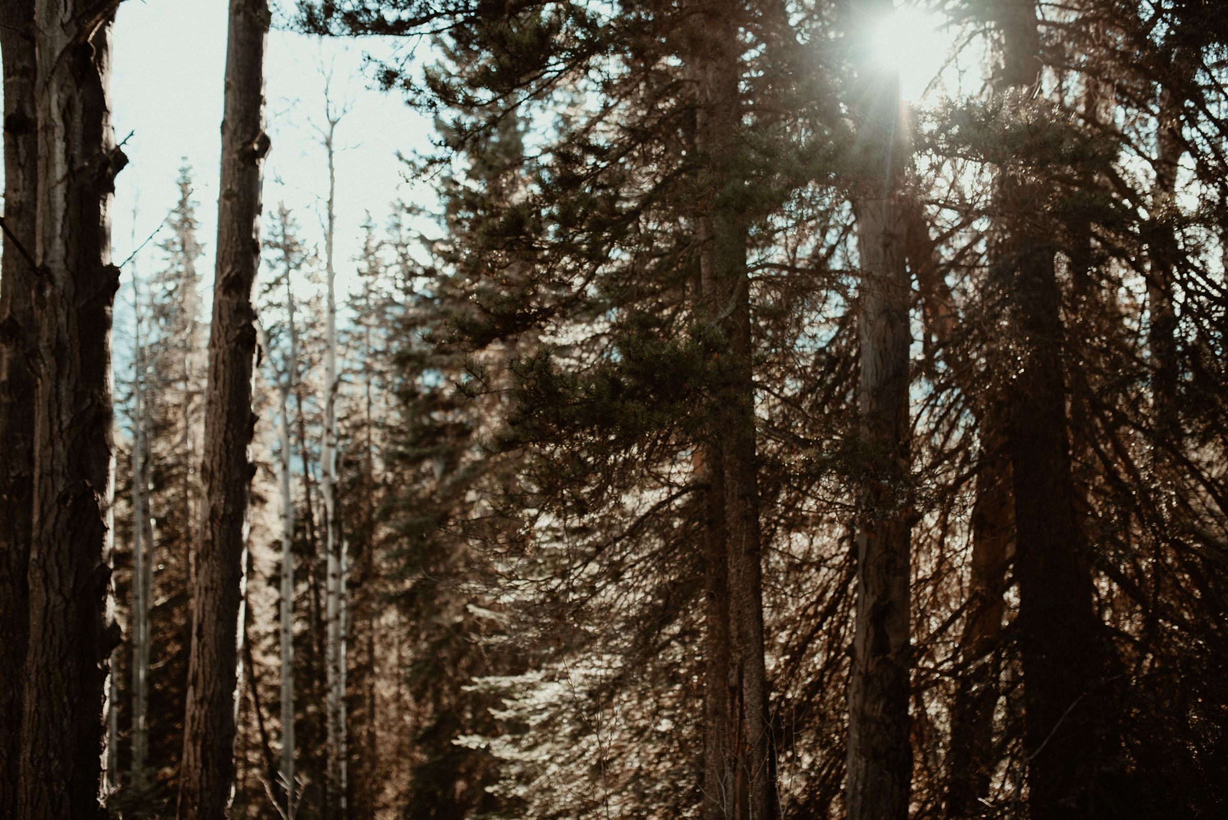 Banff Elopement