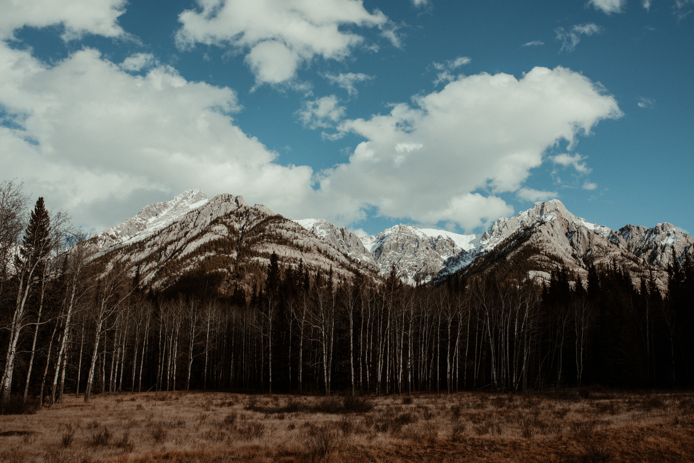 Banff Elopement