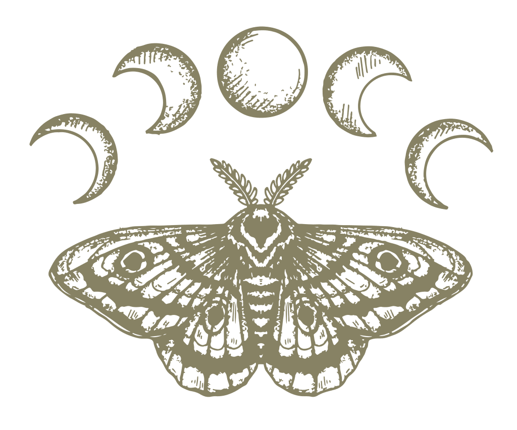 Graphic of moth and moons - Lume Photography