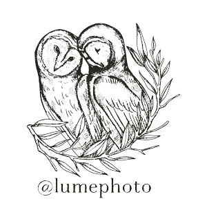 two owls graphic