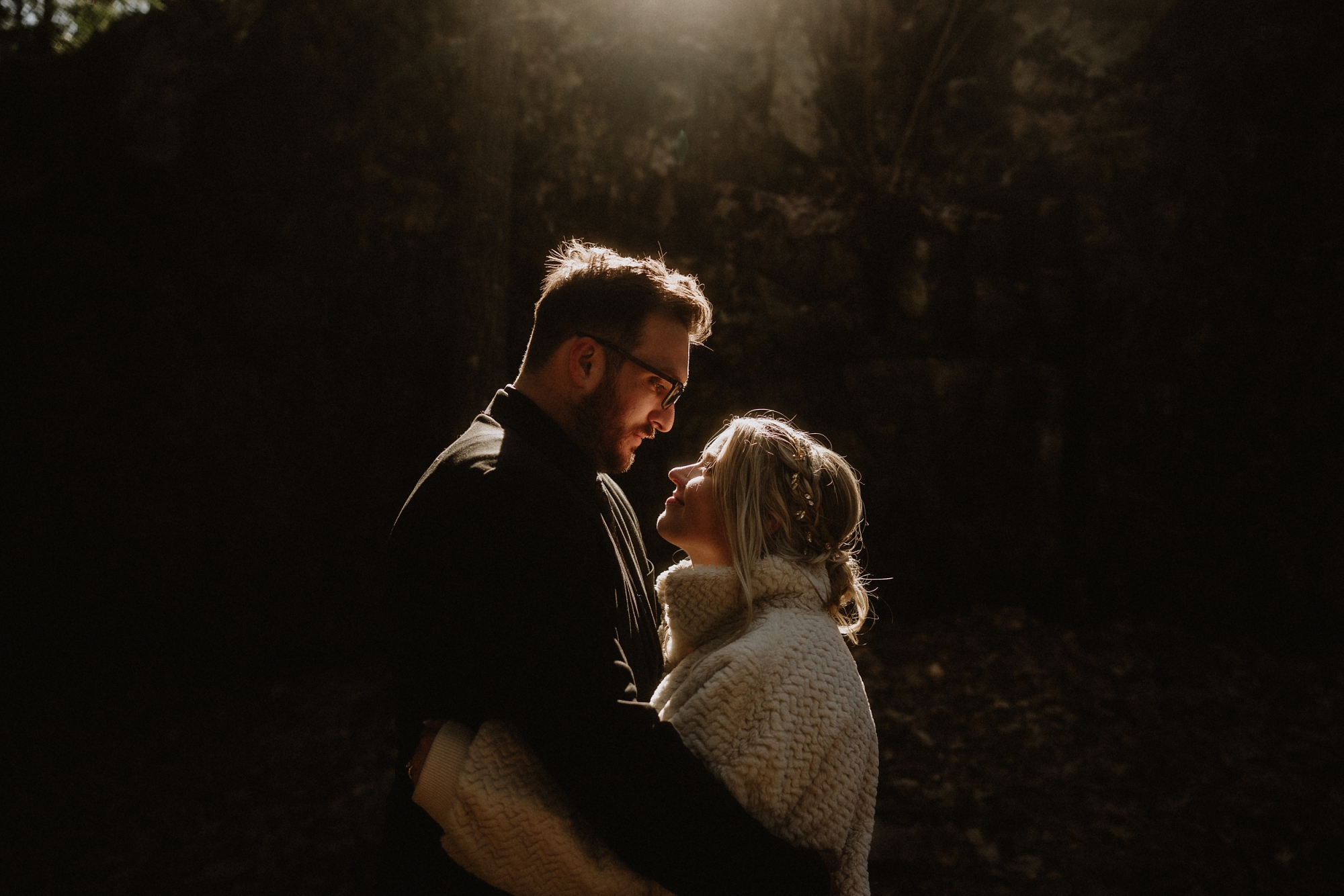 Sugarloaf Mountain Elopement With Dogs And Family