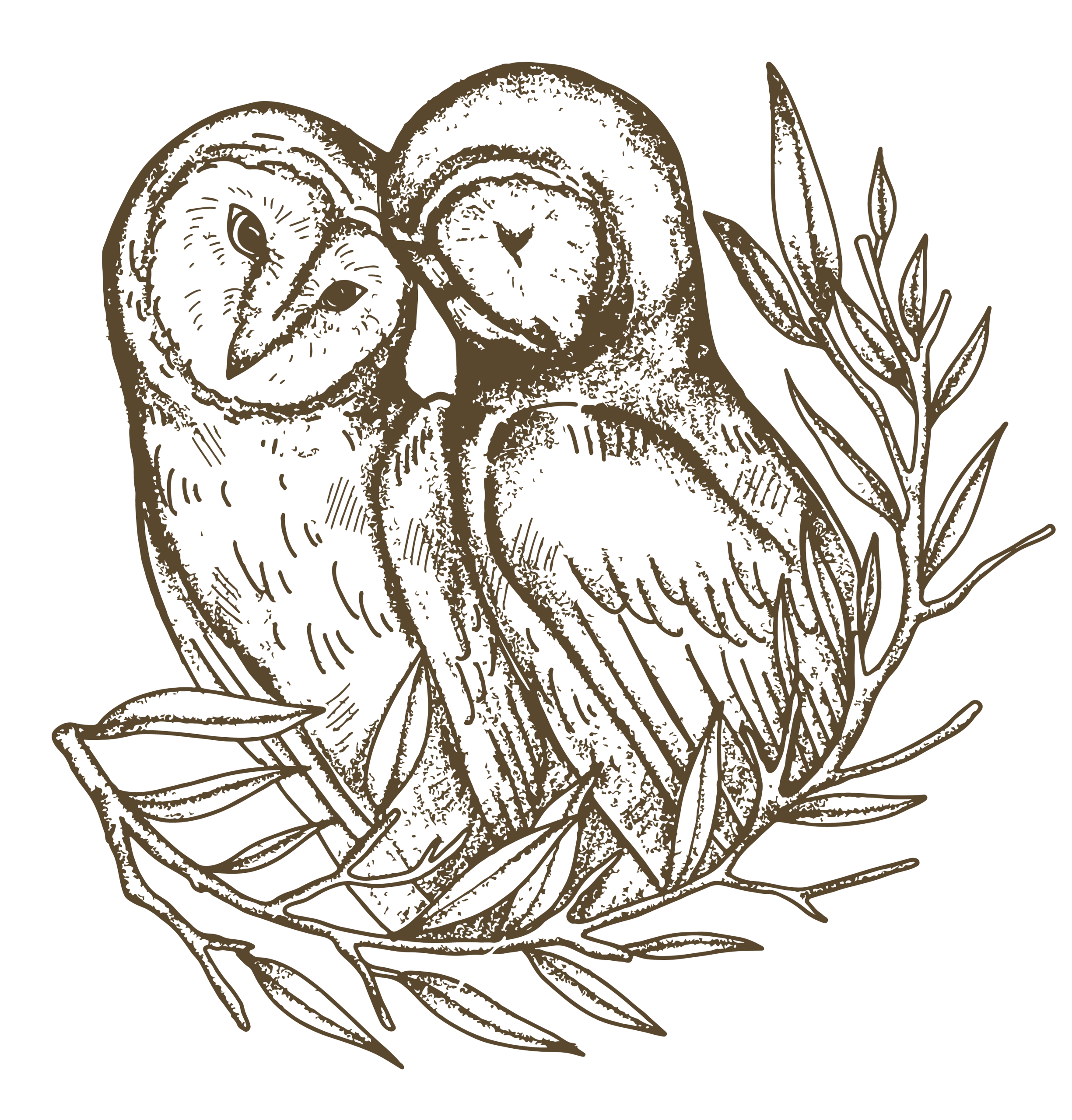Drawing of an owl couple resting their heads together.